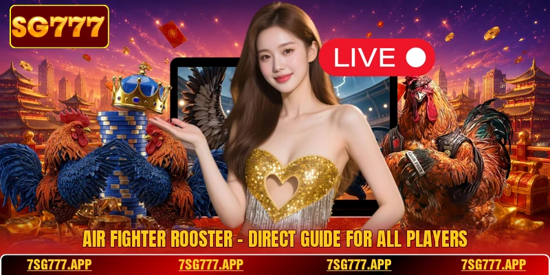 Air Fighter Rooster - Direct Guide For All Players