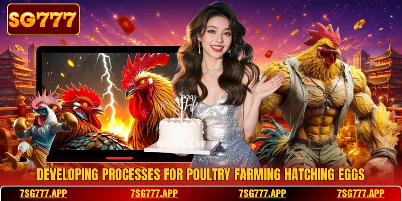 Developing processes for poultry farming hatching eggs