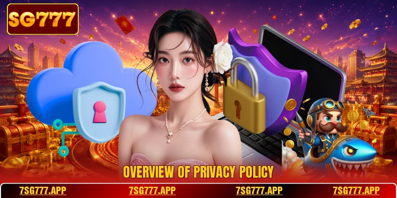 Overview of privacy policy