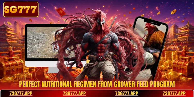 Perfect nutritional regimen from grower feed program