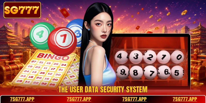 The user data security system