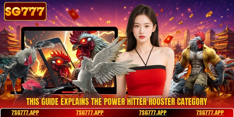 This guide explains the Power Hitter Rooster category This guide explains the Power Hitter Rooster category