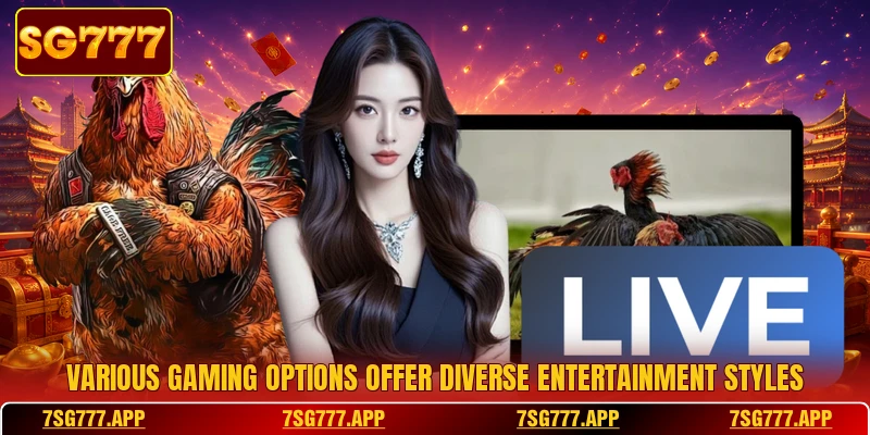 Various gaming options offer diverse entertainment styles